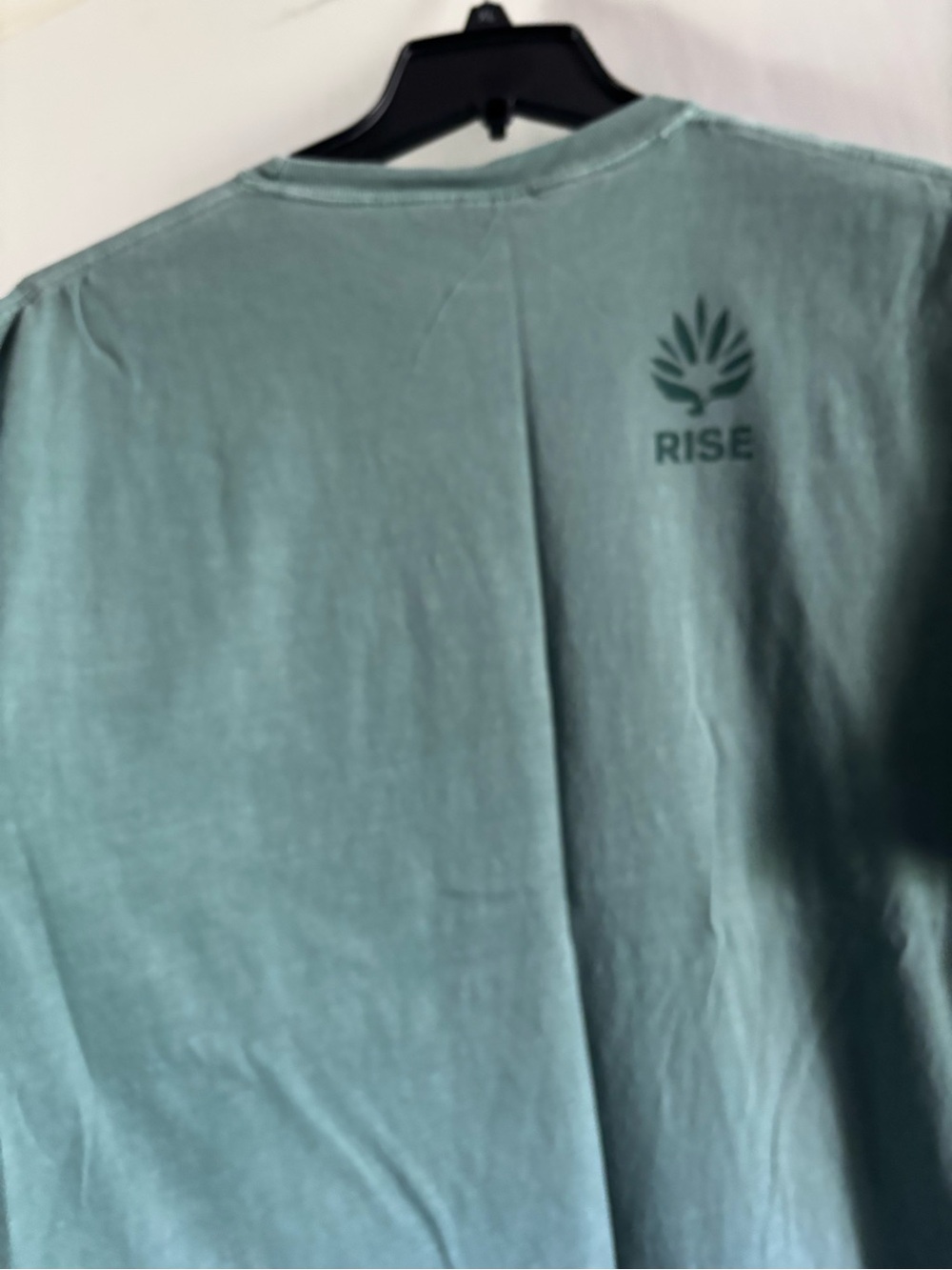 Comfort Colors Men's 'RISE' Short Sleeve Tee in Sage Green - Picture 5 of 5